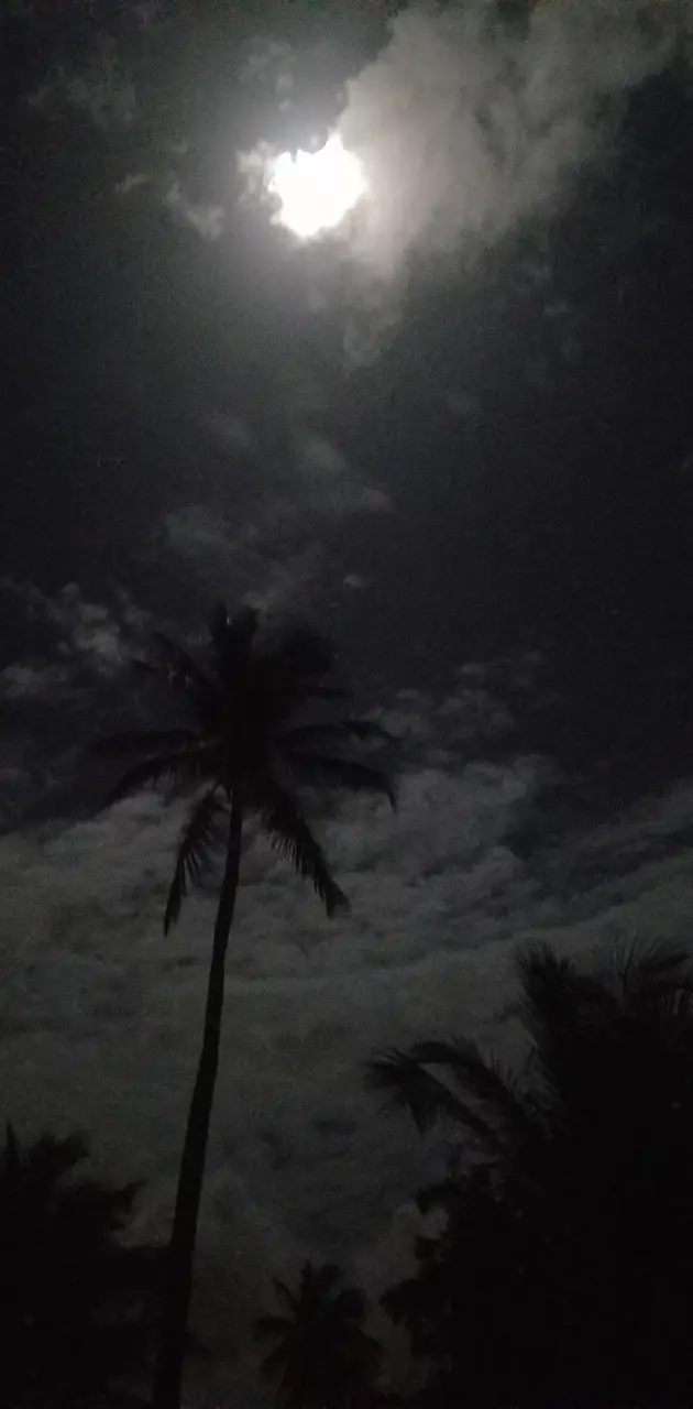 Noche El Bajo