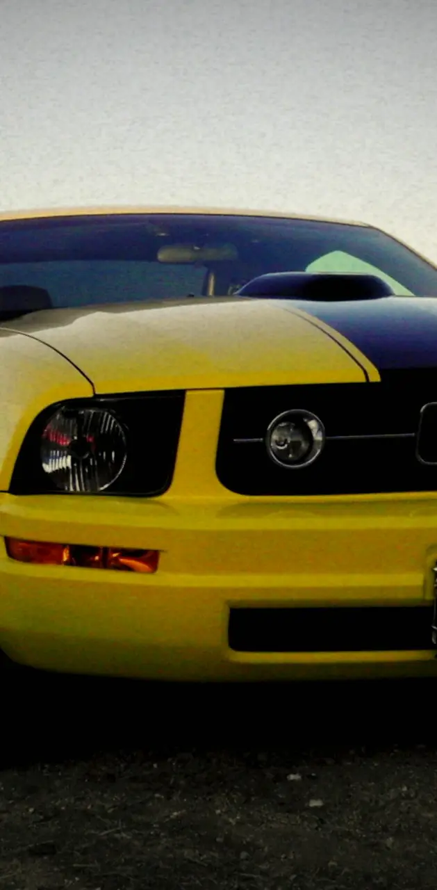Yellow Mustang