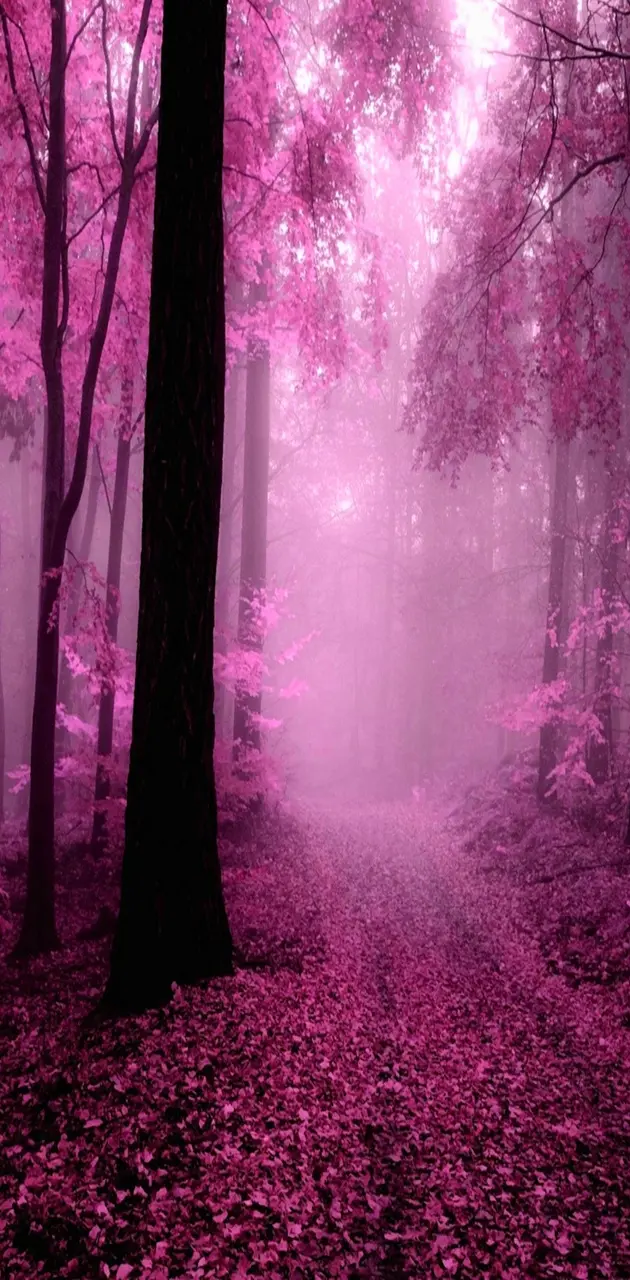 pink nature wallpaper by amber6014 - Download on ZEDGE™ | 0a5c