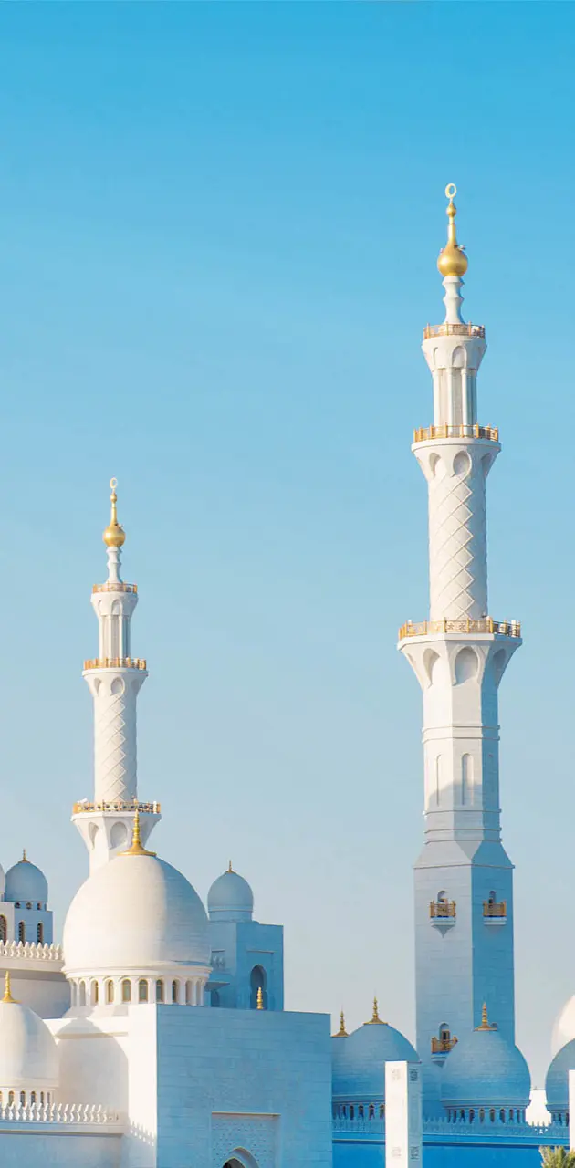 Shaikh Zayed Mosque 