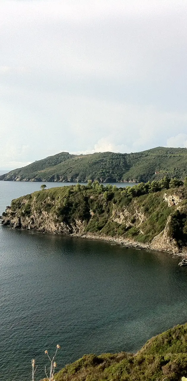 Green Cliffe