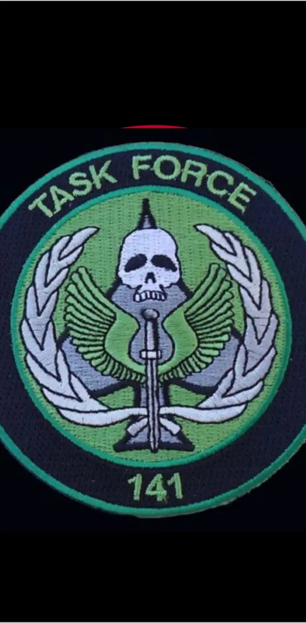 Task force141