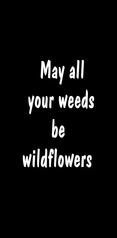 Weeds Be Wildflowers