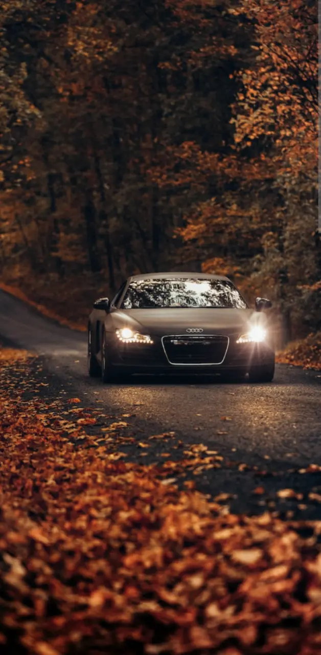 Audi in autumn scene
