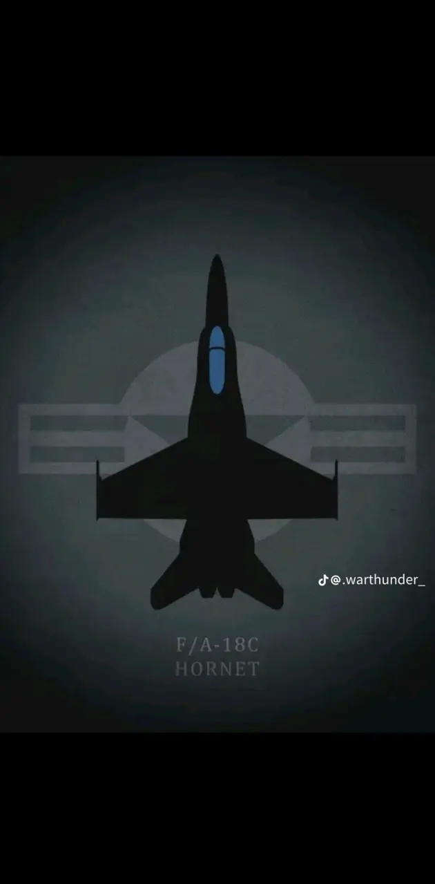 F 18 Hornet