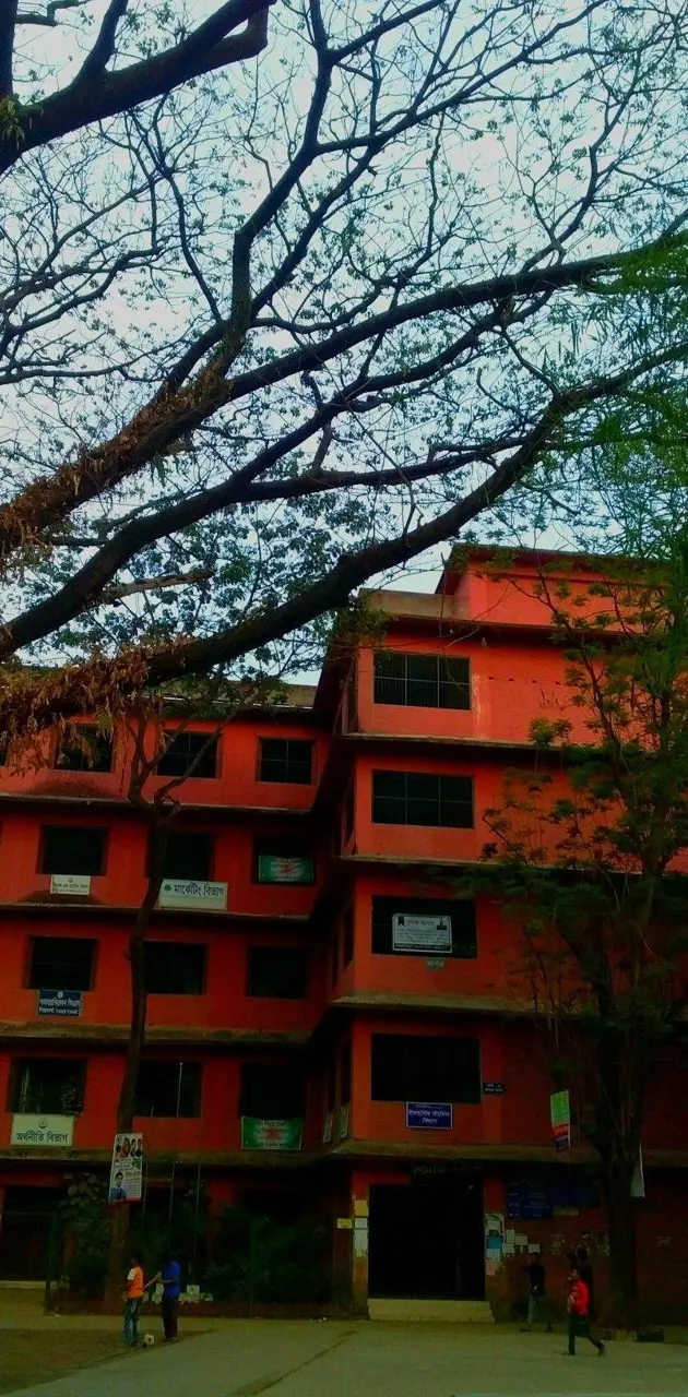 Govt. Titumir College