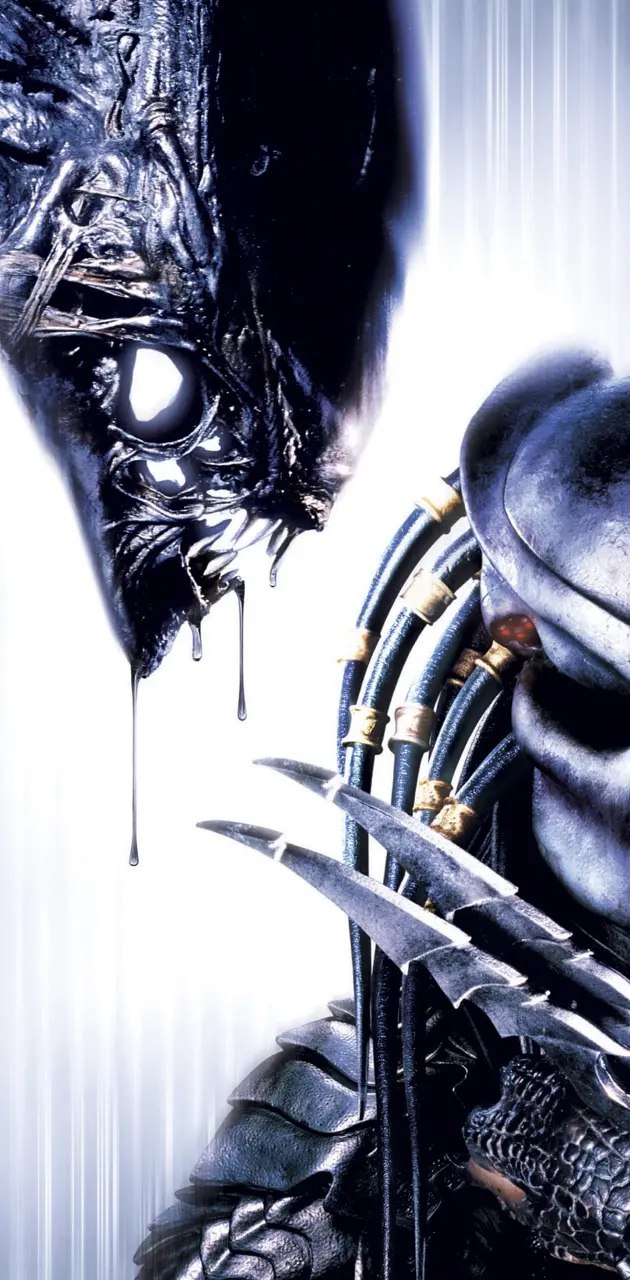 Alien vs Predator wallpaper by metal_lover9088 - Download on ZEDGE