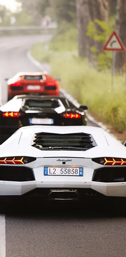 Lamborghini Cars