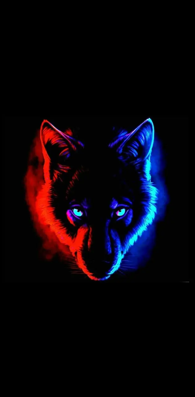 Supreme Wolf wallpaper by ADiaZedg3 - Download on ZEDGE™