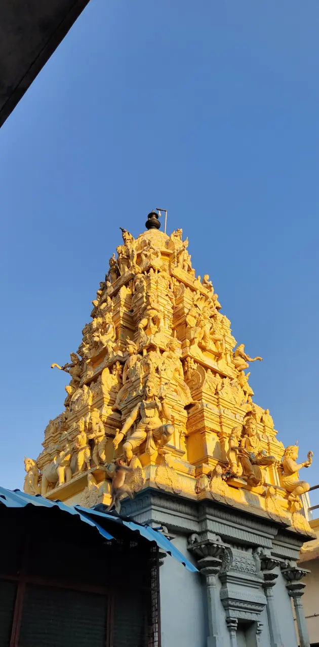 Golden tample 