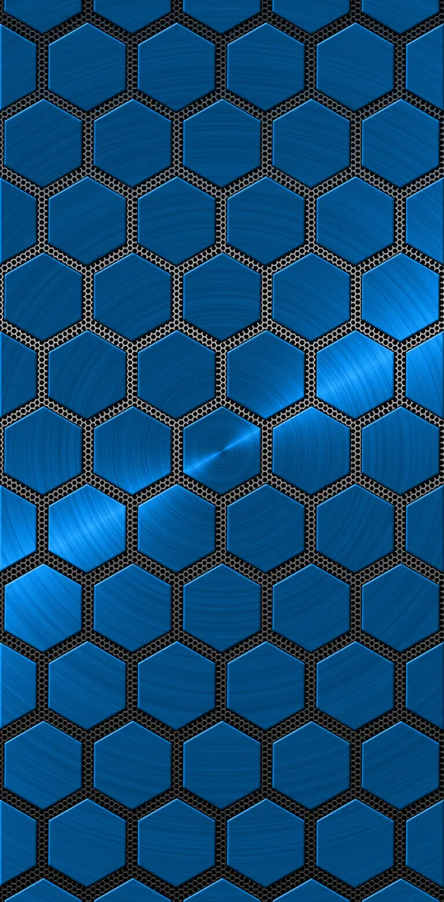 Blue Poly with Mesh