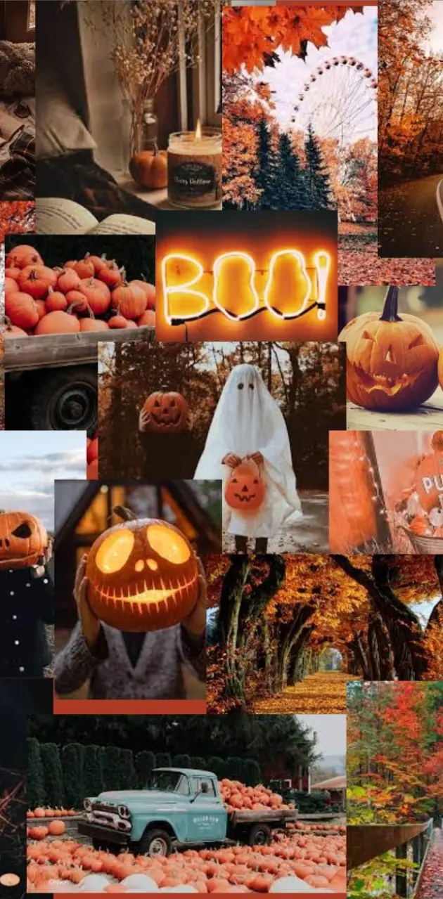 October Collage wallpaper by AbbieGrier007 - Download on ZEDGE™ | af60