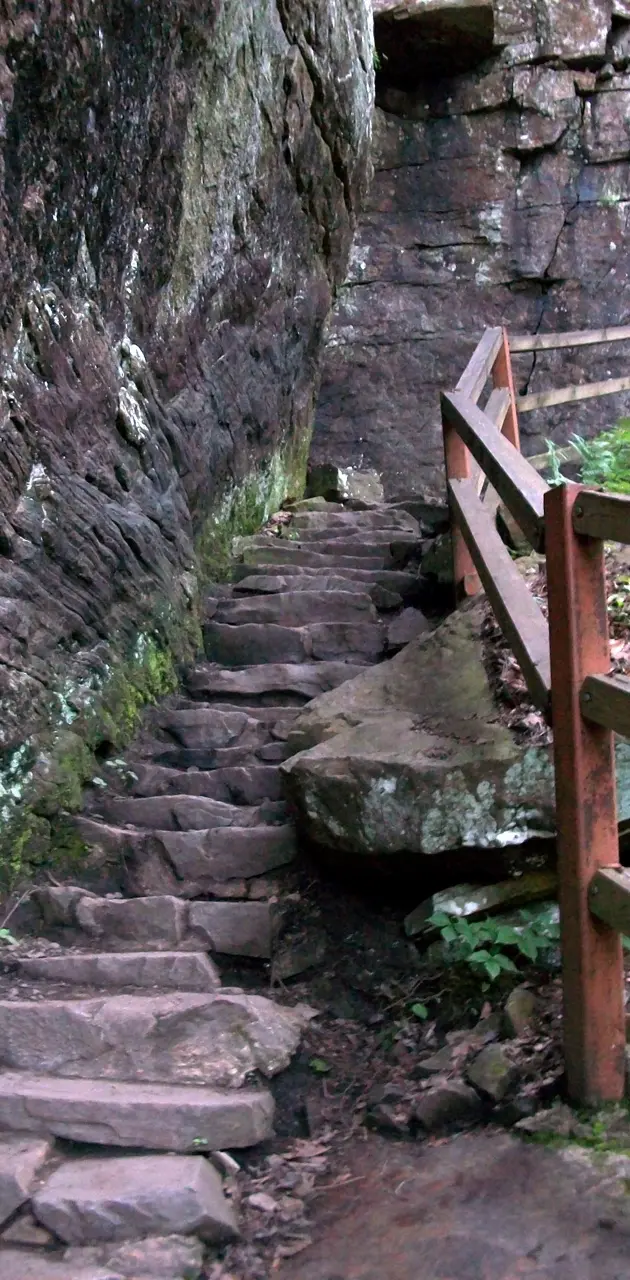 Nature Staircase