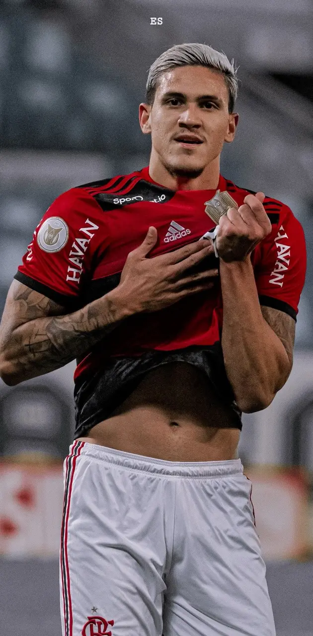 Pedro, Flamengo 2023