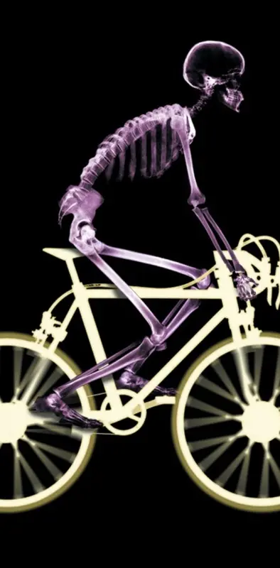 Skull In Bike