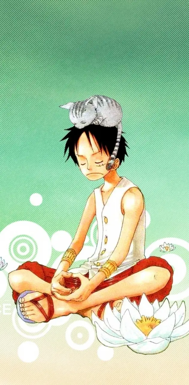 Luffy and kitty
