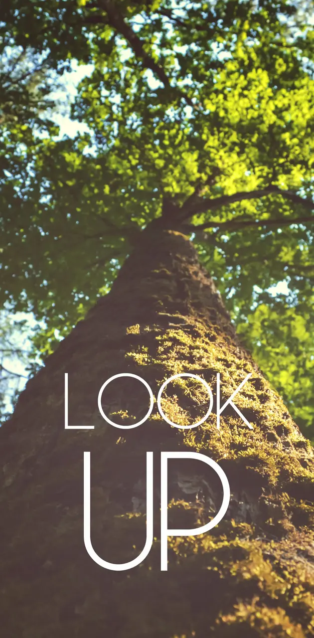 LOOK UP