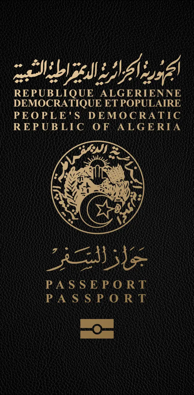 DZ Passport 4K