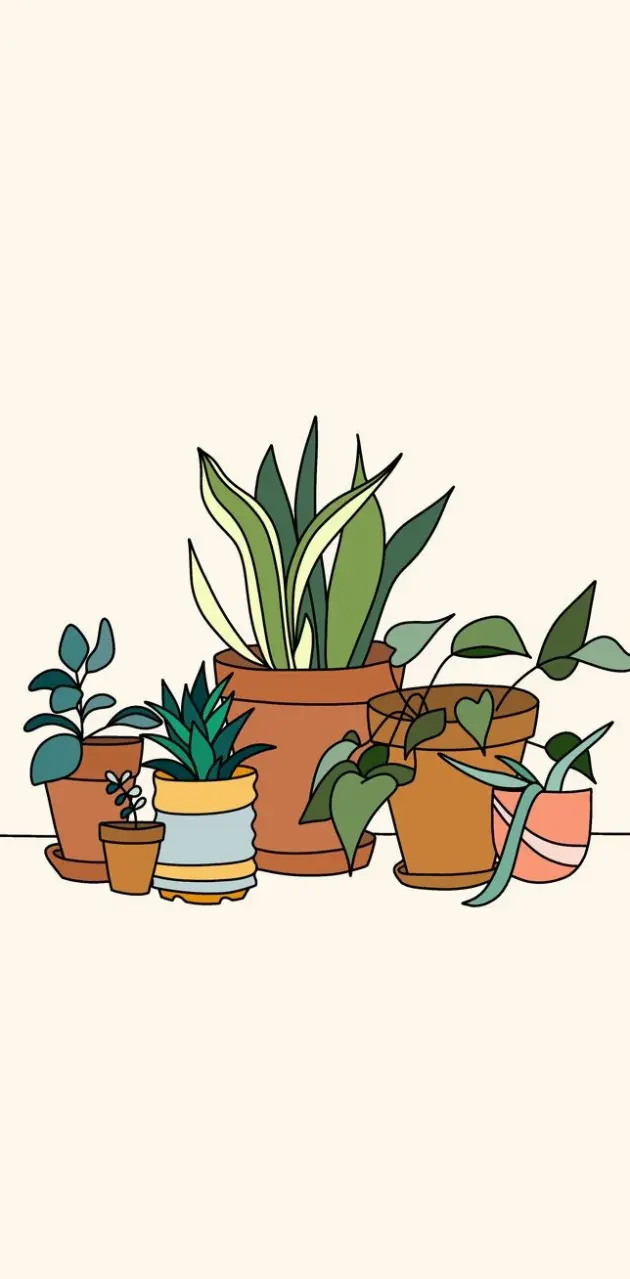 Houseplants