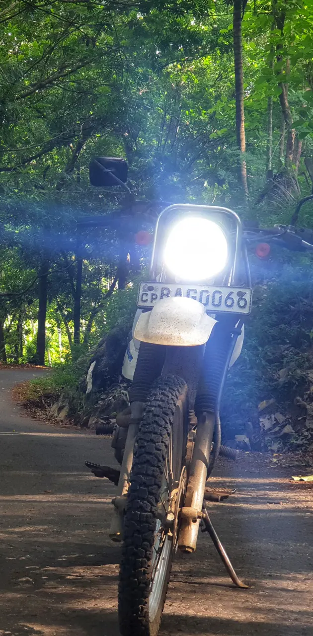 Sri lankan Rider 