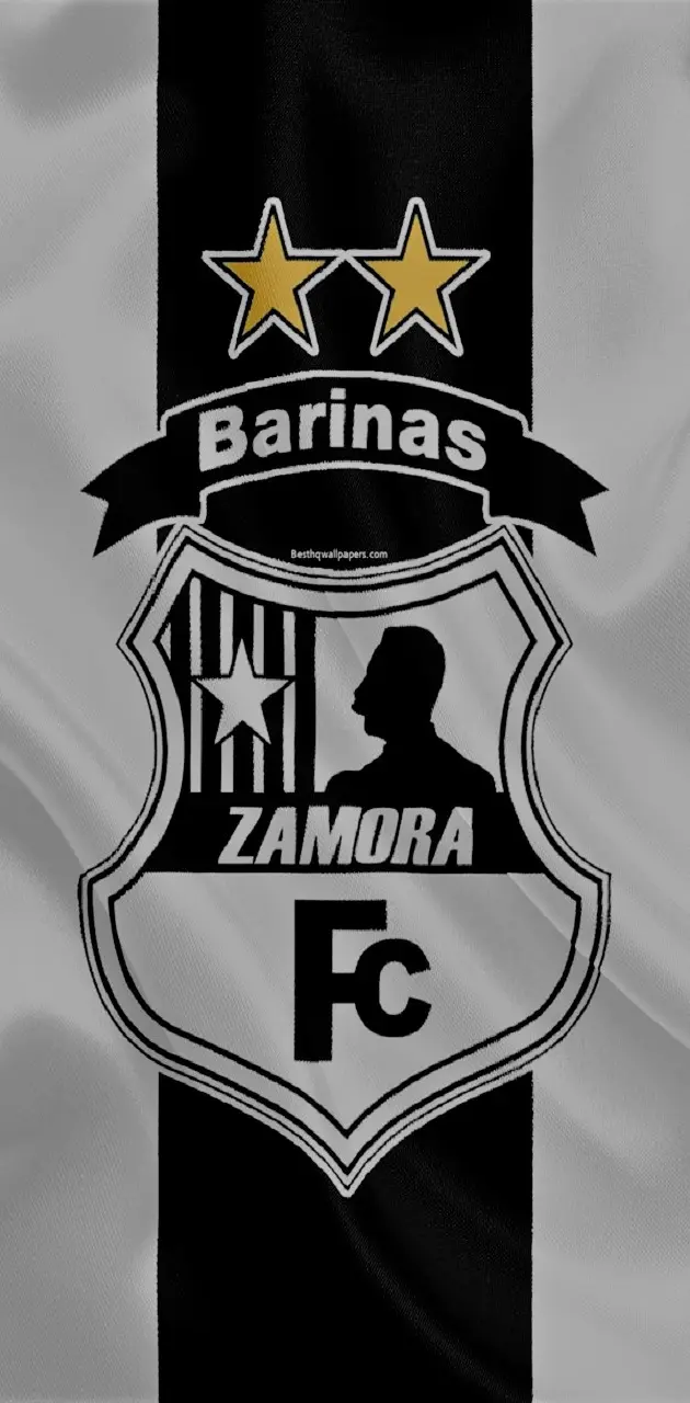 Zamora Fc logo