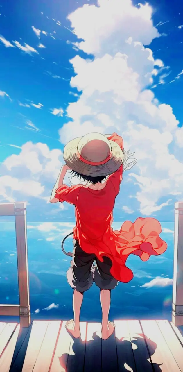 Luffy One Piece