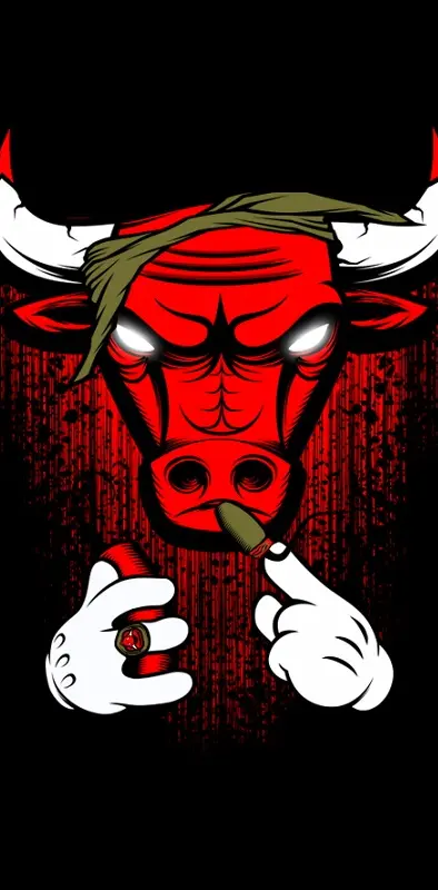bulls logo wallpaper