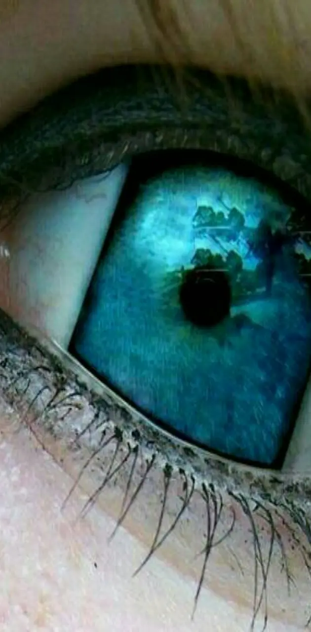3d eye image