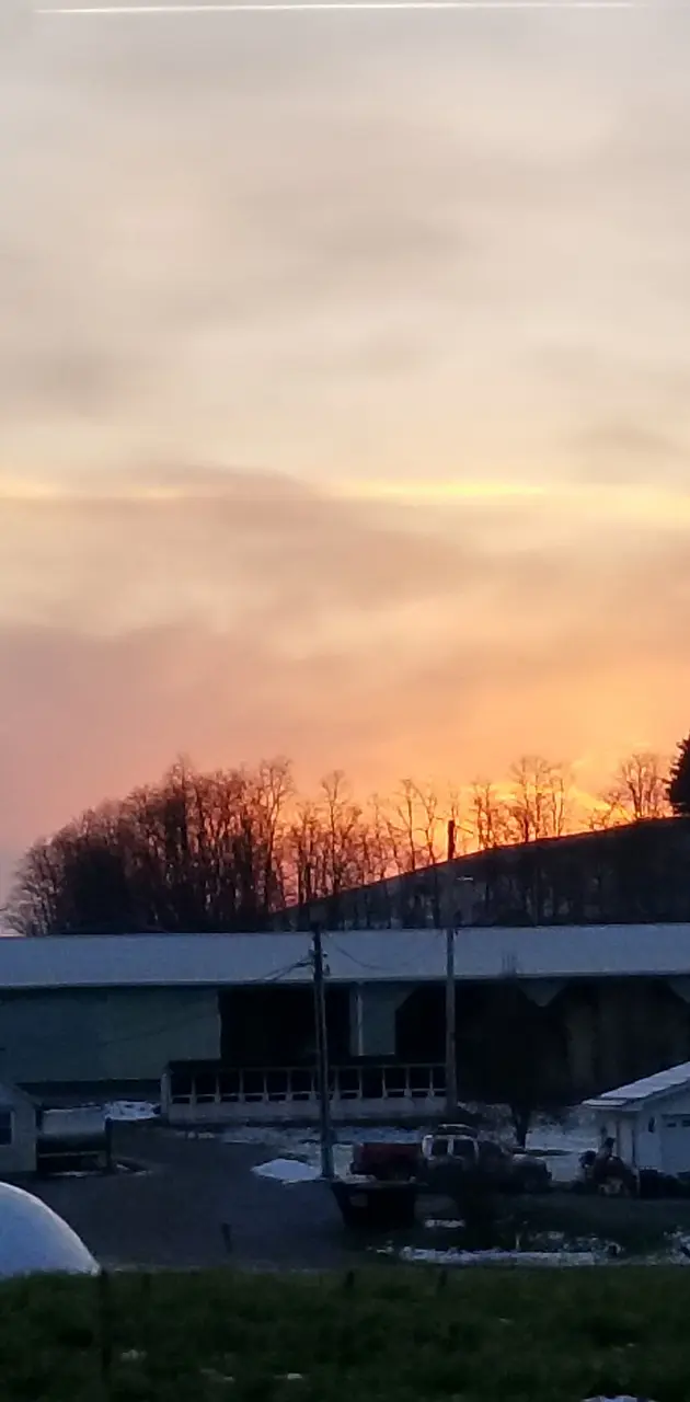 Sunset on farm