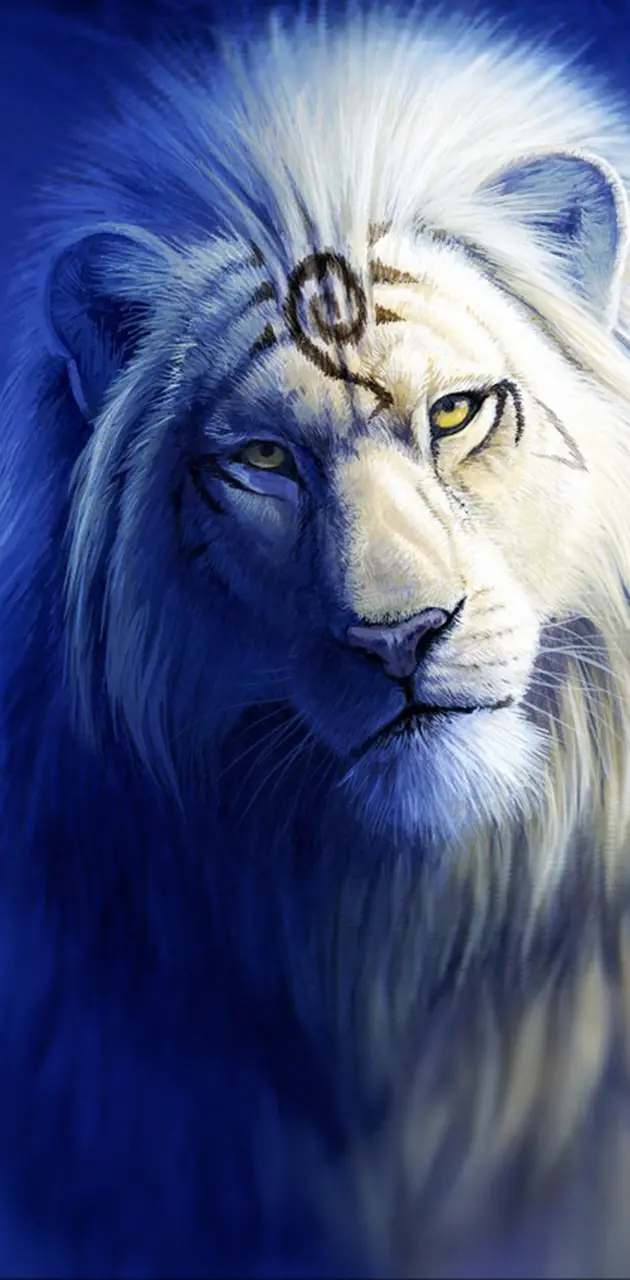 solaris lion blue