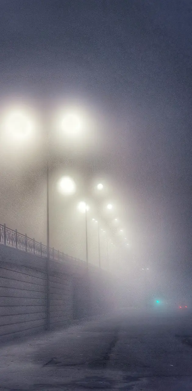 Night fog 
