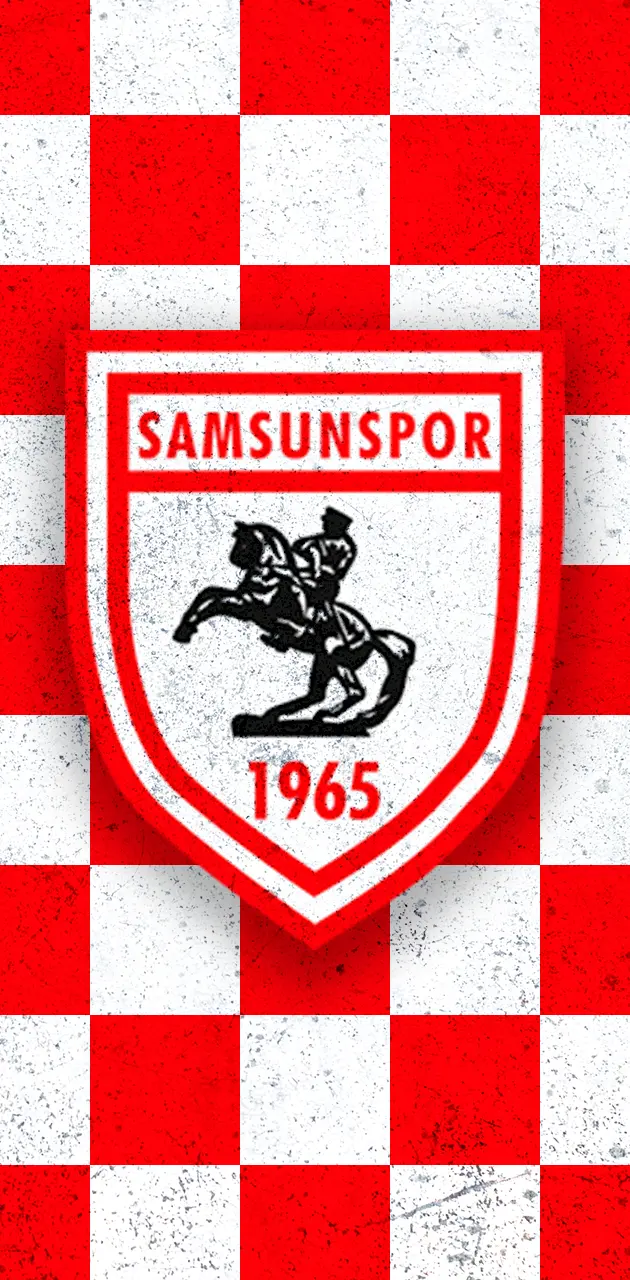 Samsunspor 1965