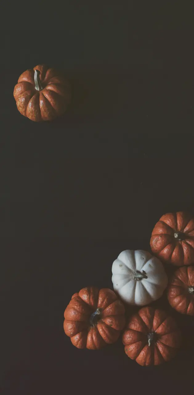 Artsy Pumpkins