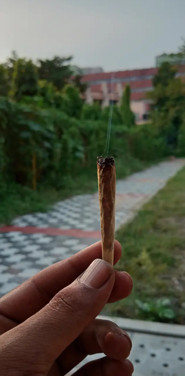 Joint