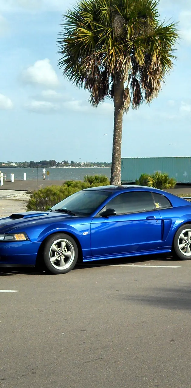 2002 Mustang GT