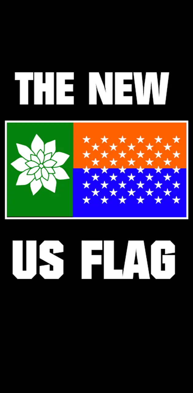 NEW USA FLAG CONCEPT