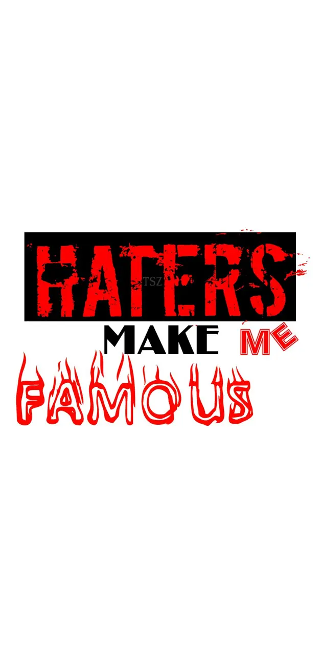 haters make me