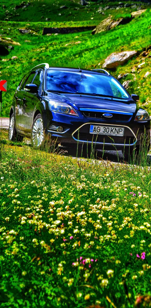 Forcus Ford t
