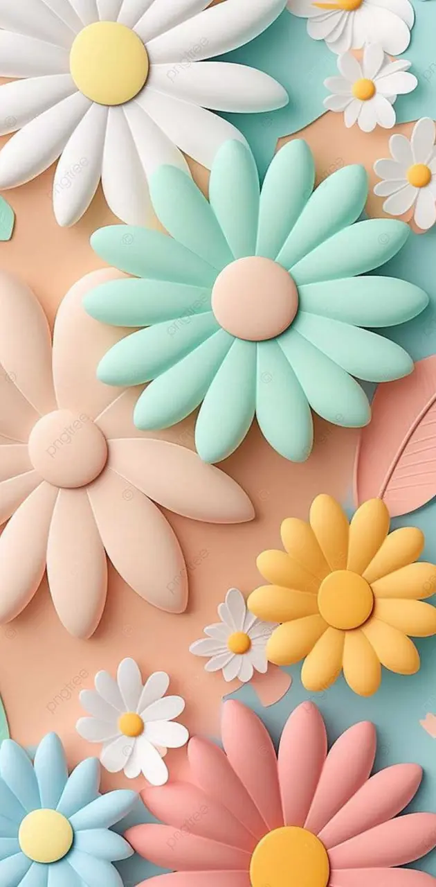 Daisy flowers wallpaper 