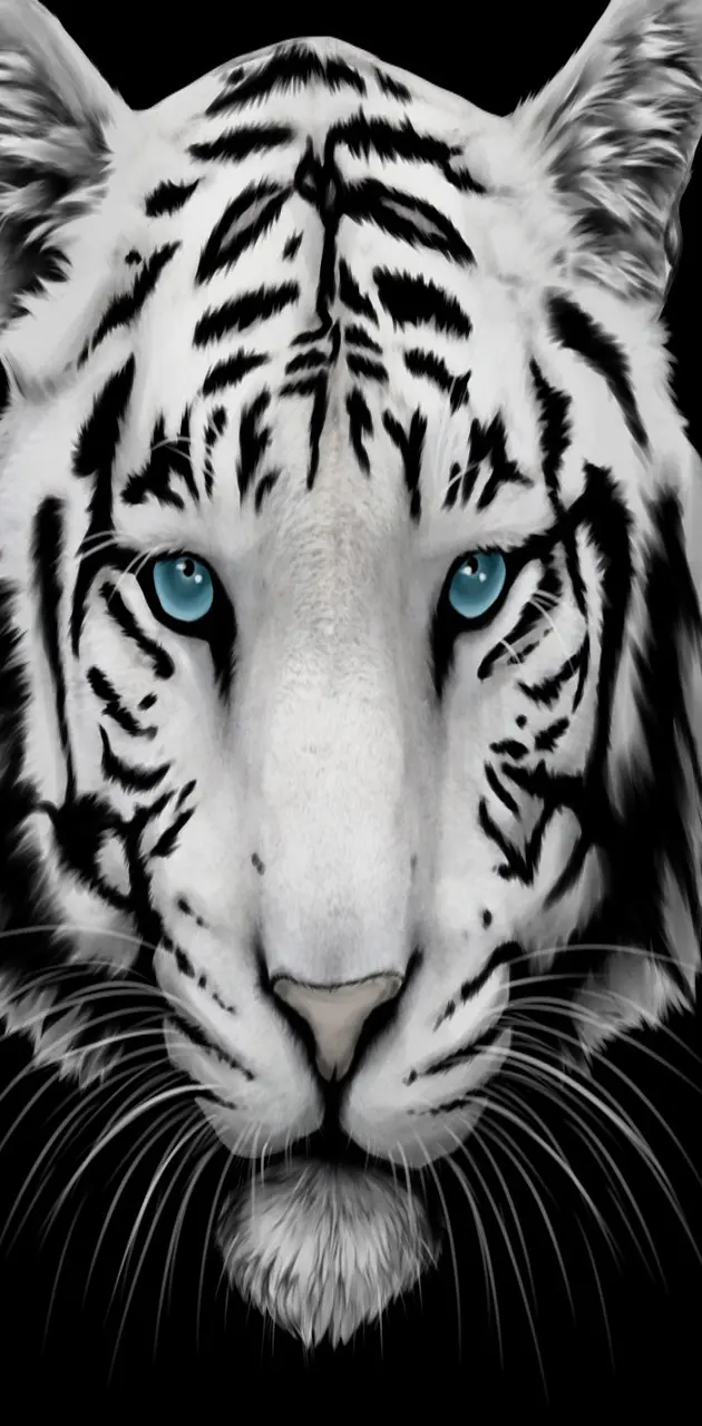 White   Tiger