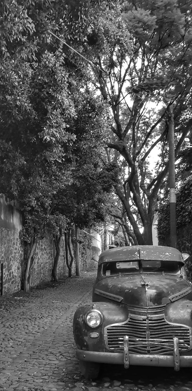 Car black and white 