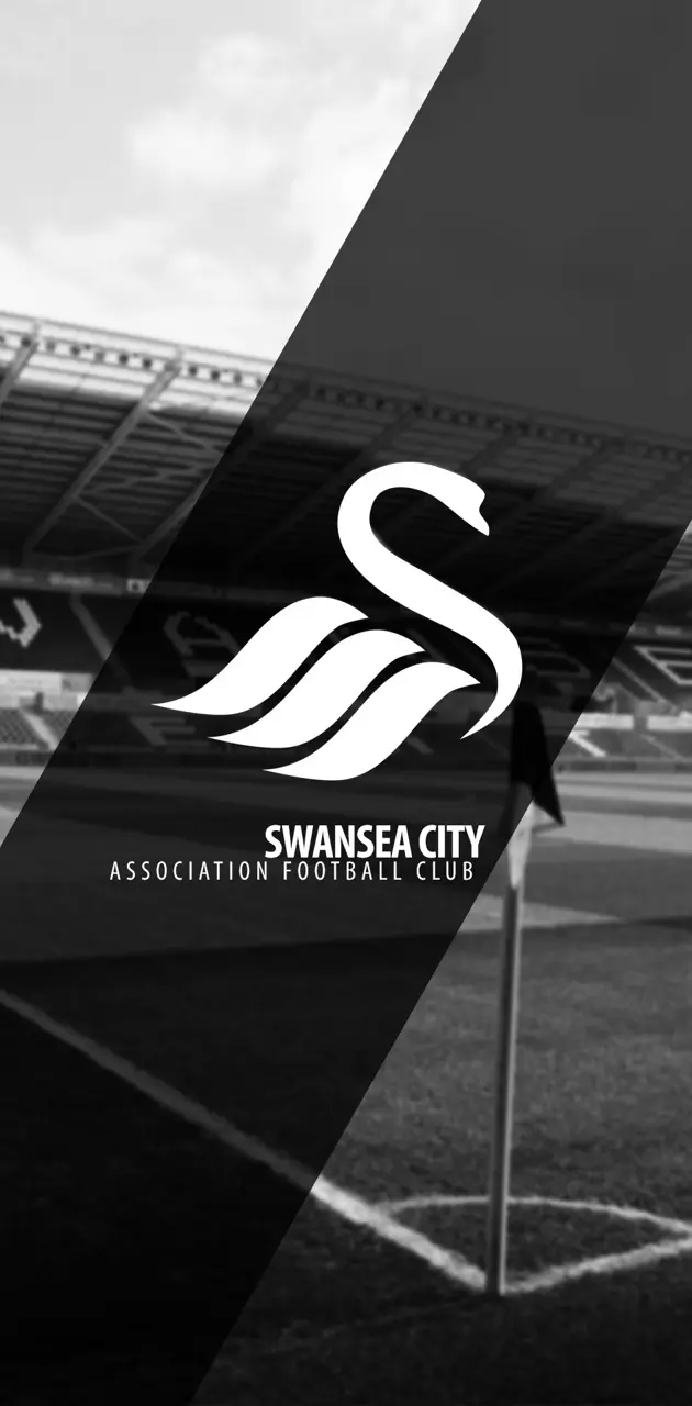 Swansea City AFC