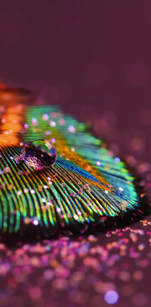 Glittered Feather