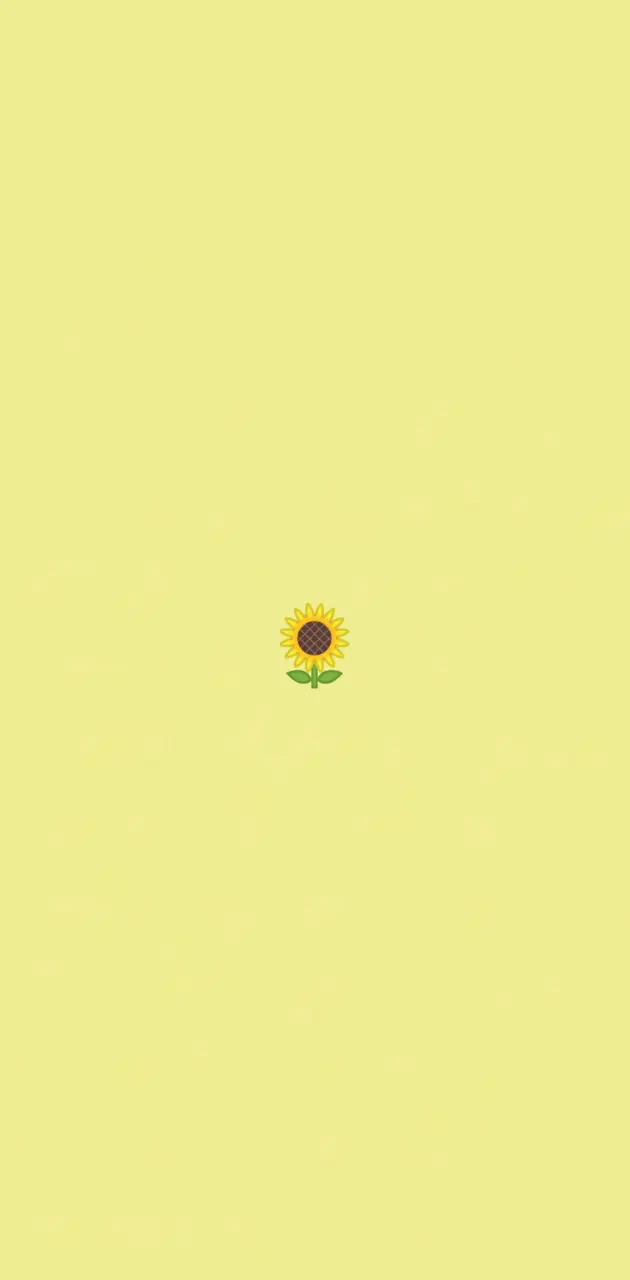 Aesthetic Sunflower