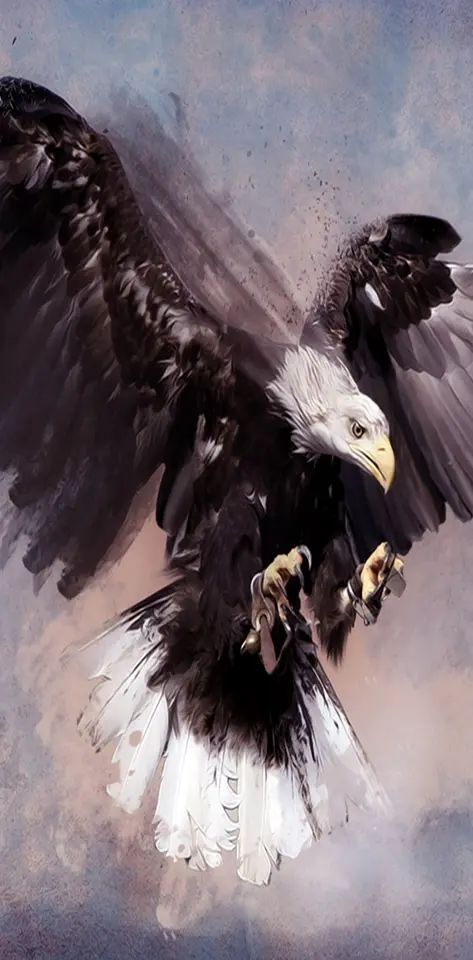 beautiful eagle