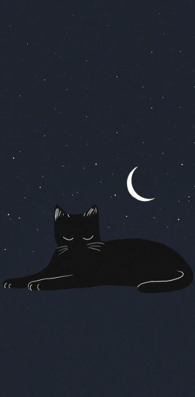 Moon cat wallpaper