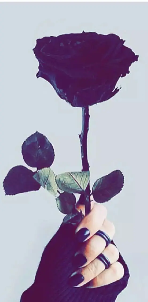 good rose
