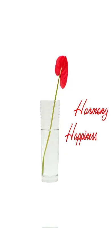 Harmony Happiness