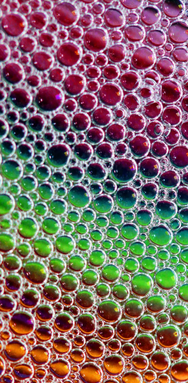 Bubbles Colorful