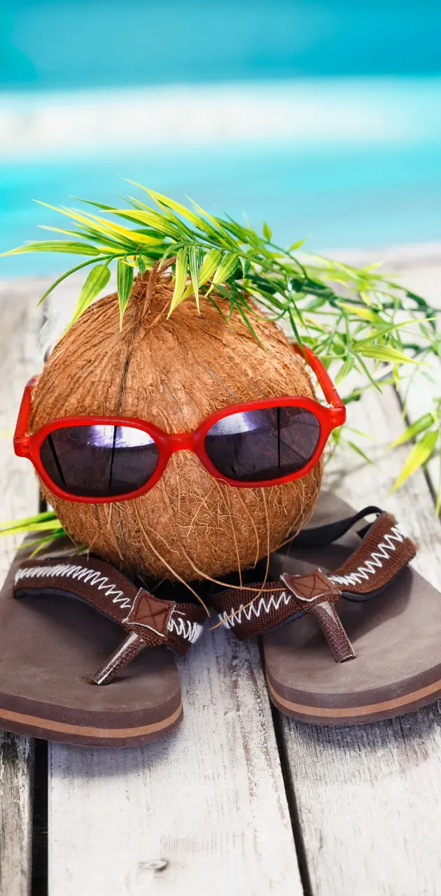 Funny Coconut